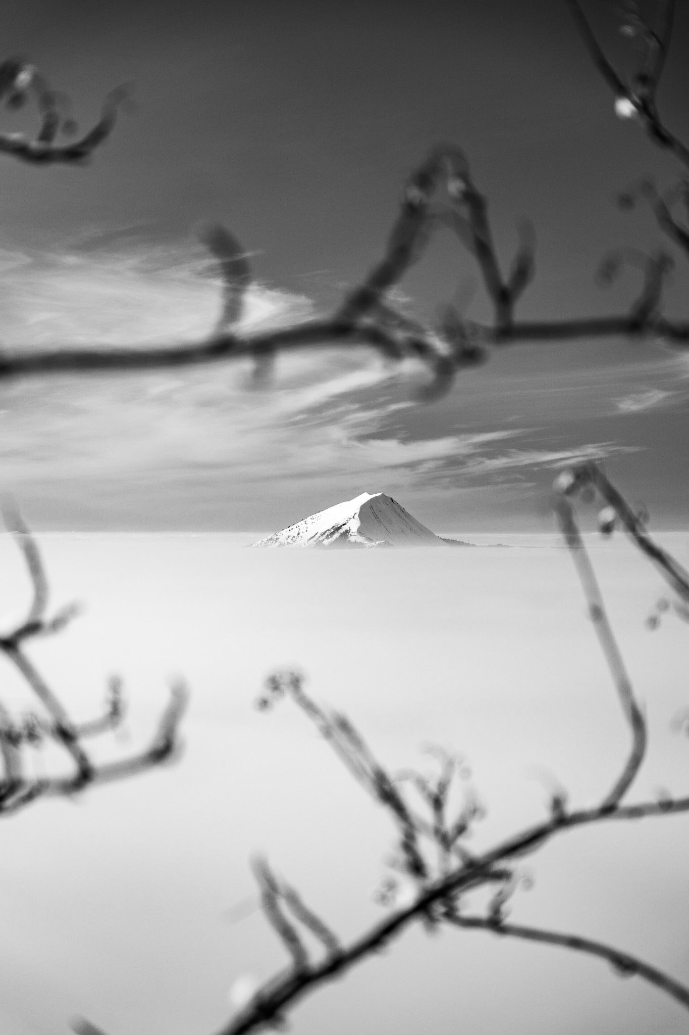 Le Môle