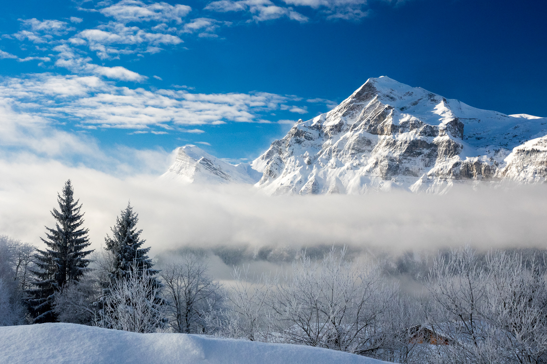 Matinée Hivernale
