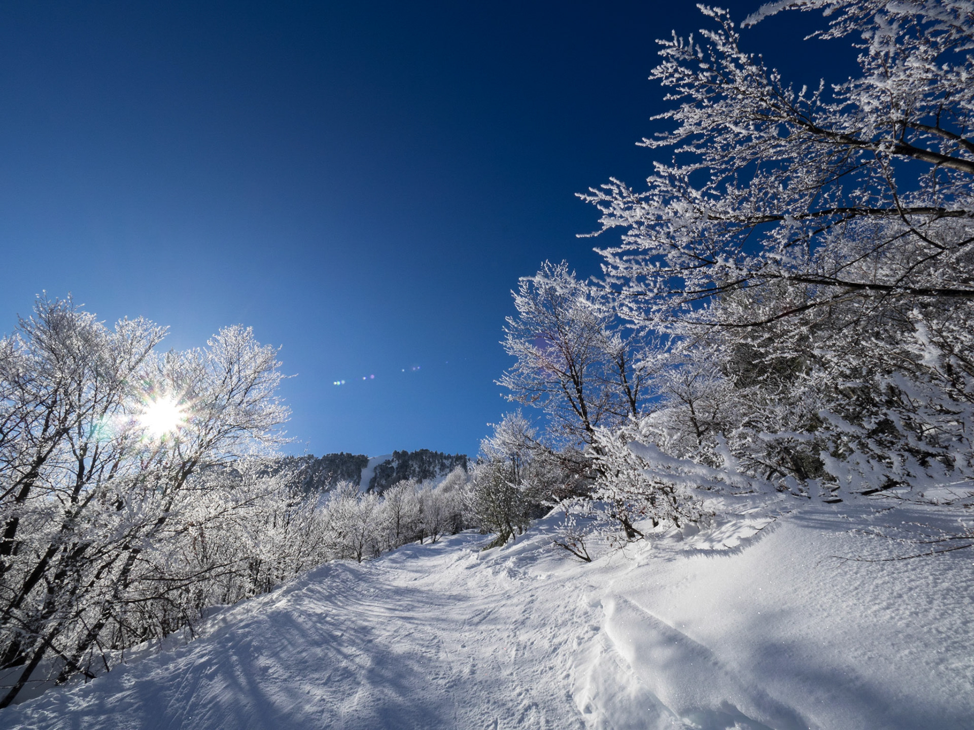 Good Morning Winter
