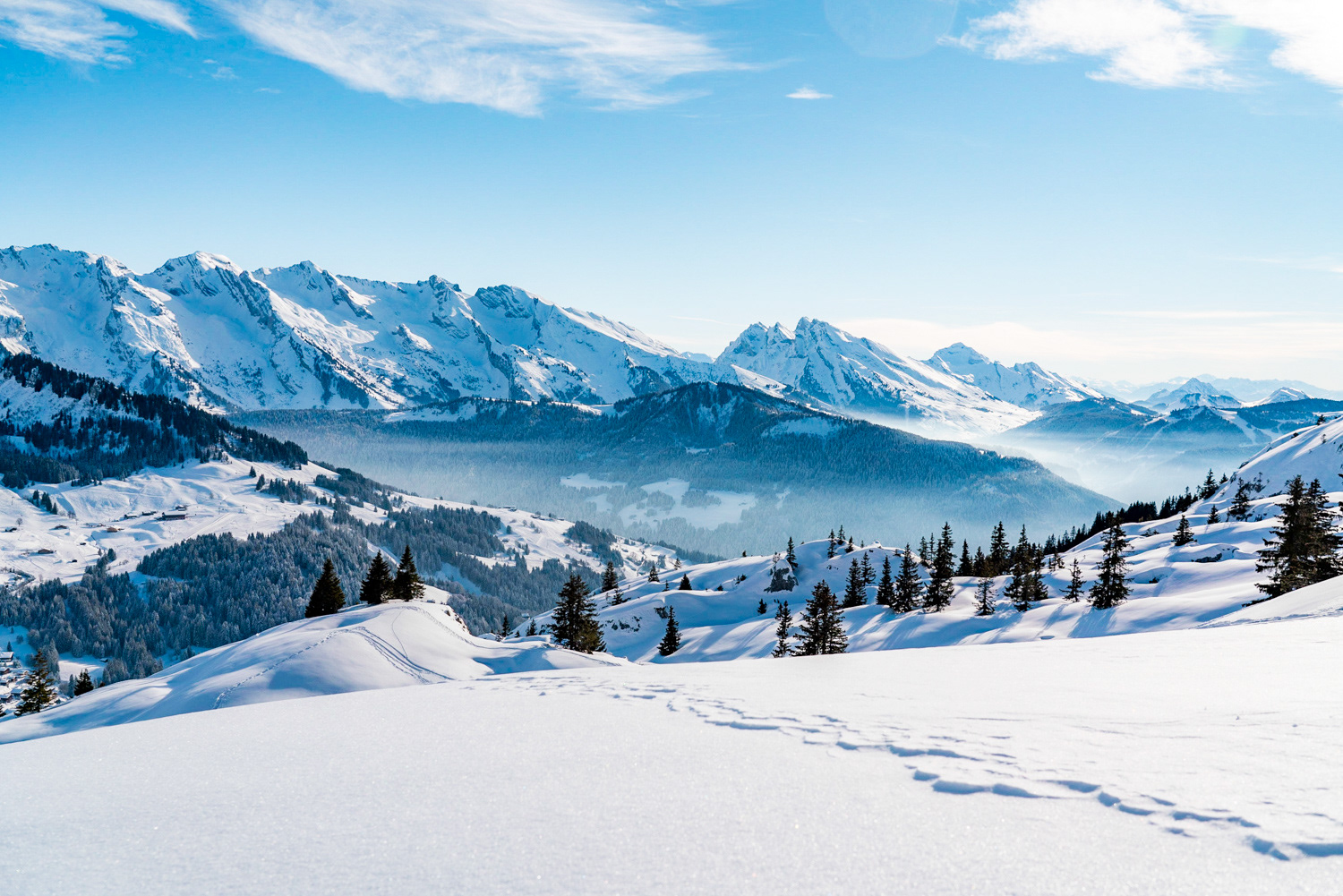 Aravis