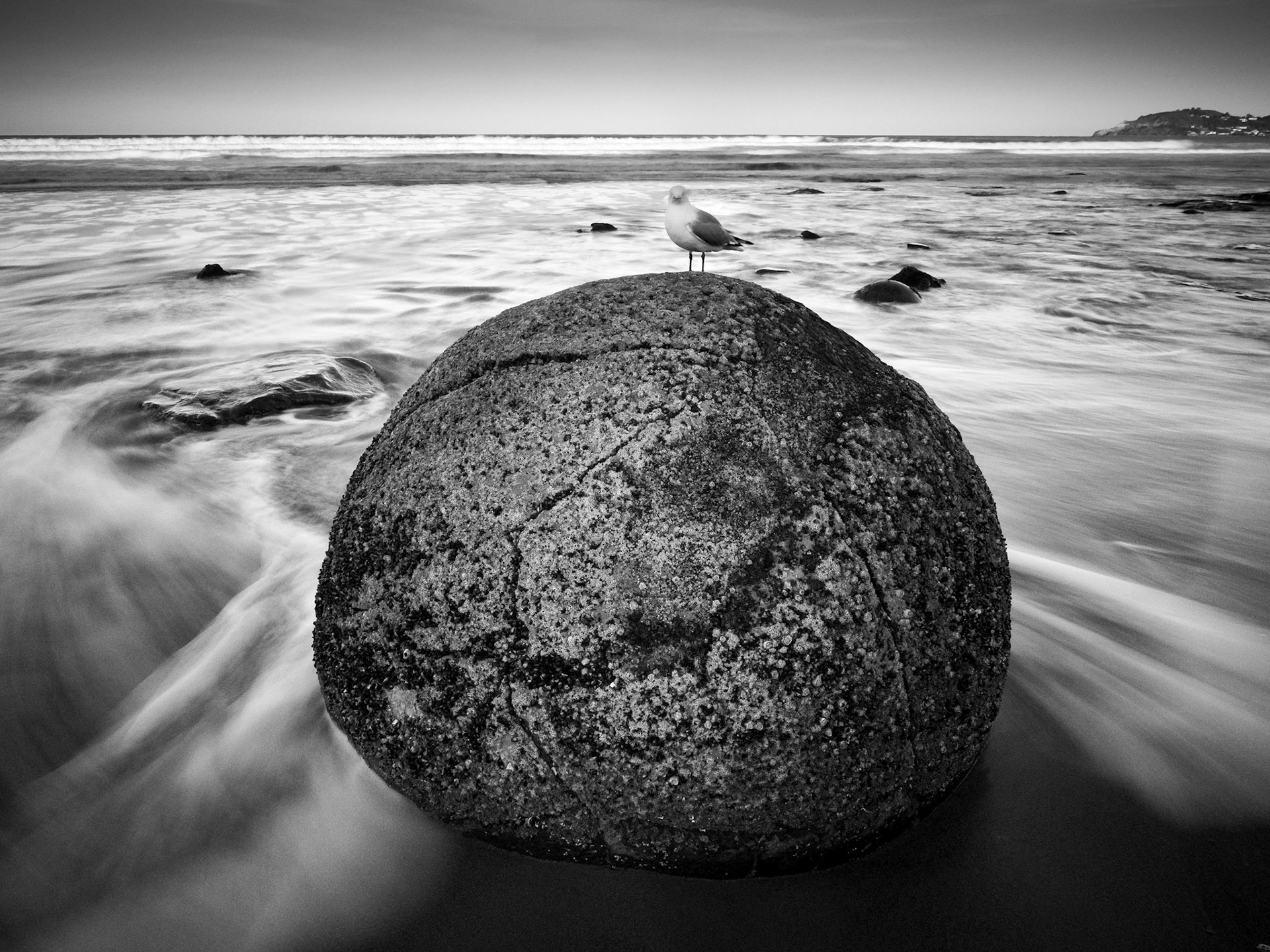 Black and White Boulder