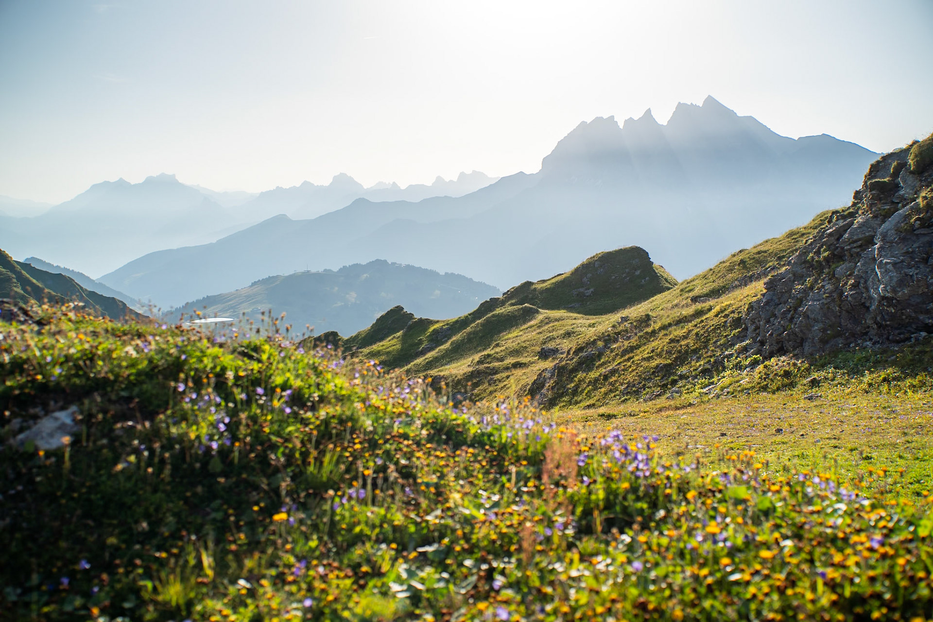 Dents du Midi
