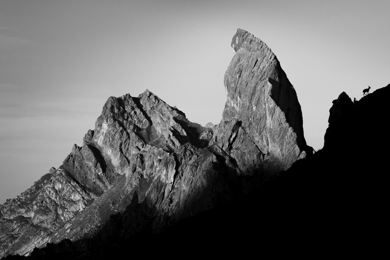 La Pierra Menta accompagnée