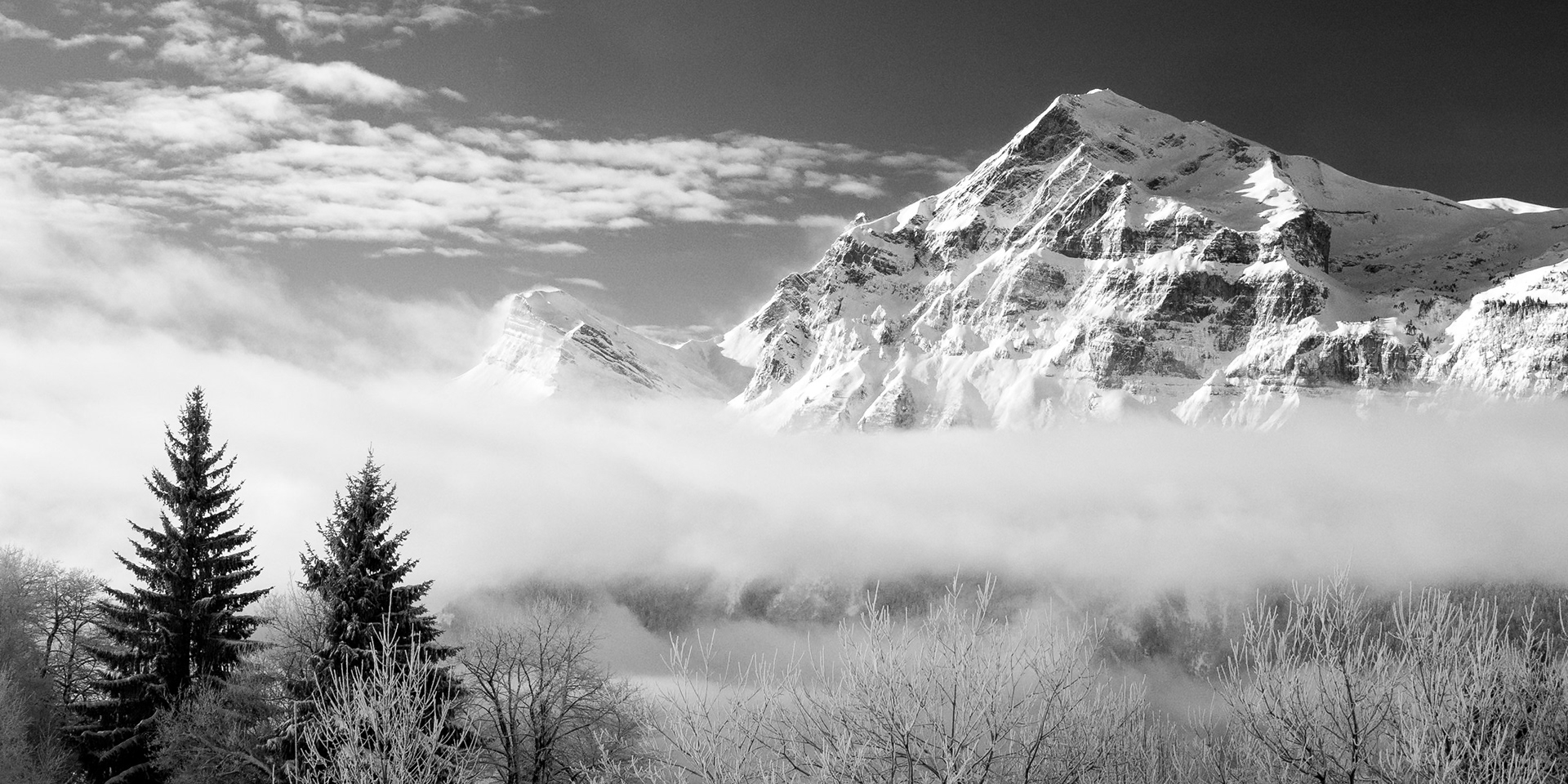 Quatre têtes, Aravis