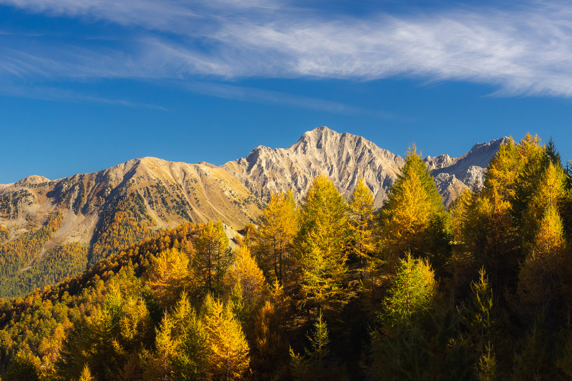 L'Automne