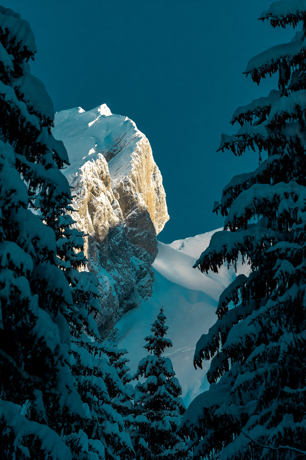 Aravis
