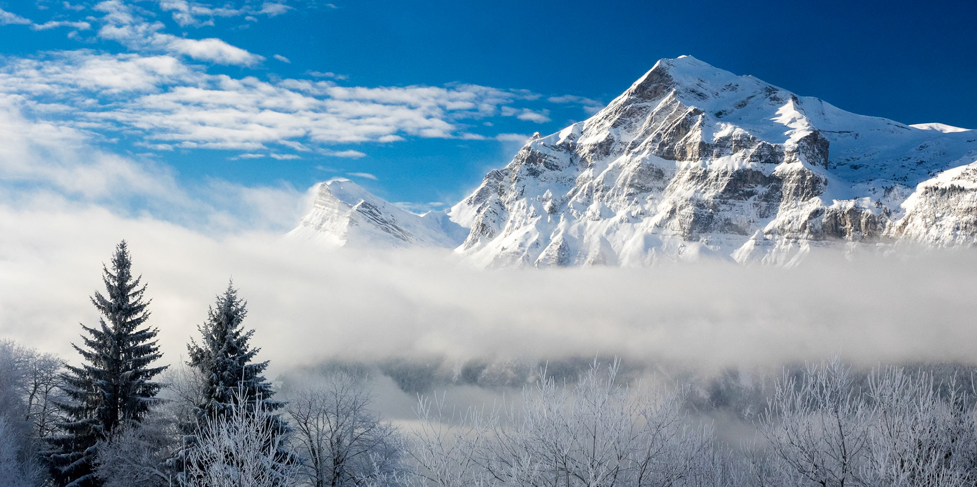 Quatre têtes, Aravis