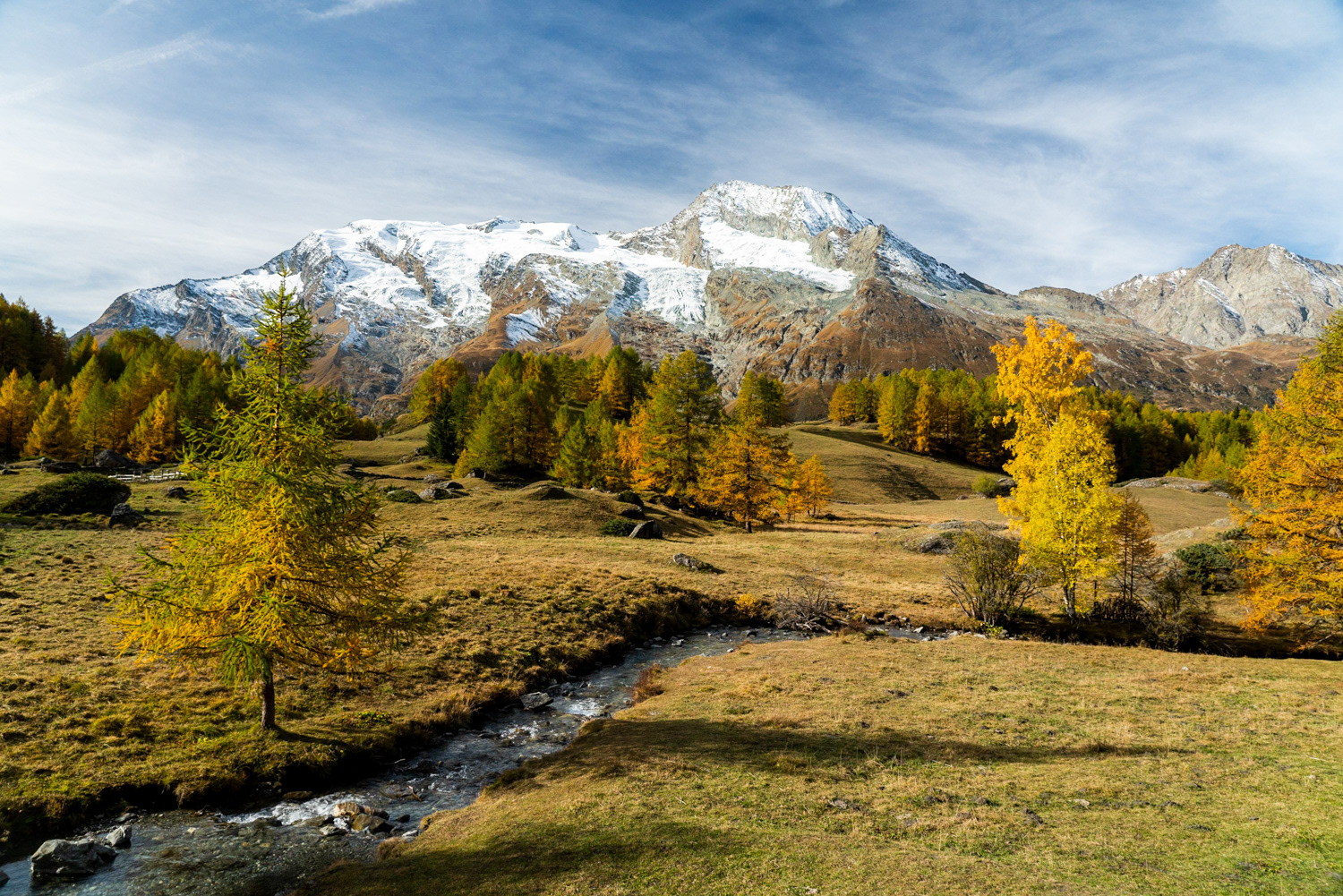 Automne
