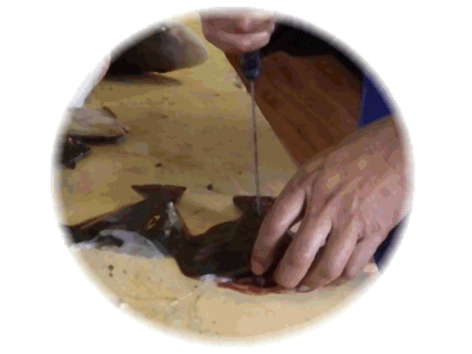Make an inch cut near the tail end to make a slit for the flax.