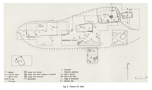 p74, Fig. 8. Terrace A2, plan