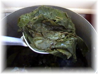 Scoop the kawakawa leaves out