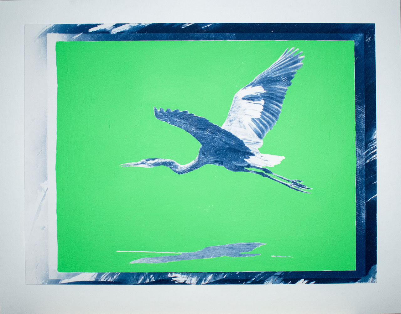 Heron, 2025, Cyanotype and Acrylics on Paper