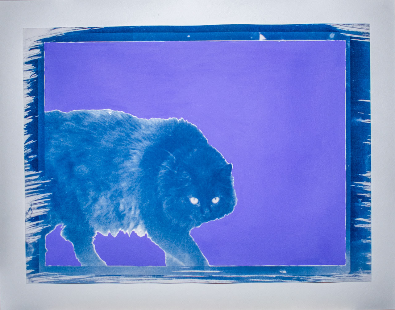 Milo, 2025, Cyanotype and Acrylics on Paper