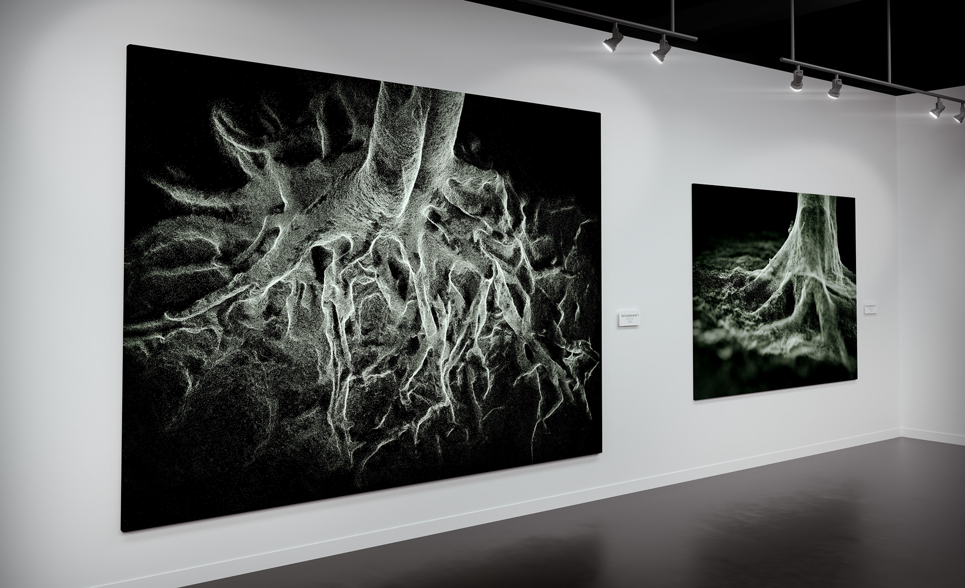Pointclouds of root systems.