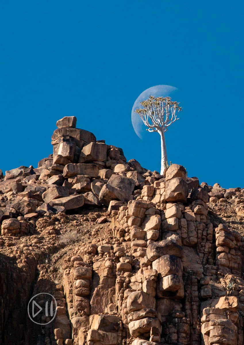 Moon Tree - This was taken in Southern Namibia in the Aussenkehr Nature Reserve, largely established to protect the depicted Quiver Tree. Around full moon, when I’m far away from light pollution, I feel I can see almost as much by moonlight as during the day. Shapes, movement, depth and defined shadows… everything except colour. The moon by day holds this other level of beauty for me as she interacts with the sky and landscape in full colour. This framing particularly appealed to me after I adopted the moniker of Dandelion that was bestowed upon me by a three year old friend, and I couldn’t get over how many levels it fit on. 