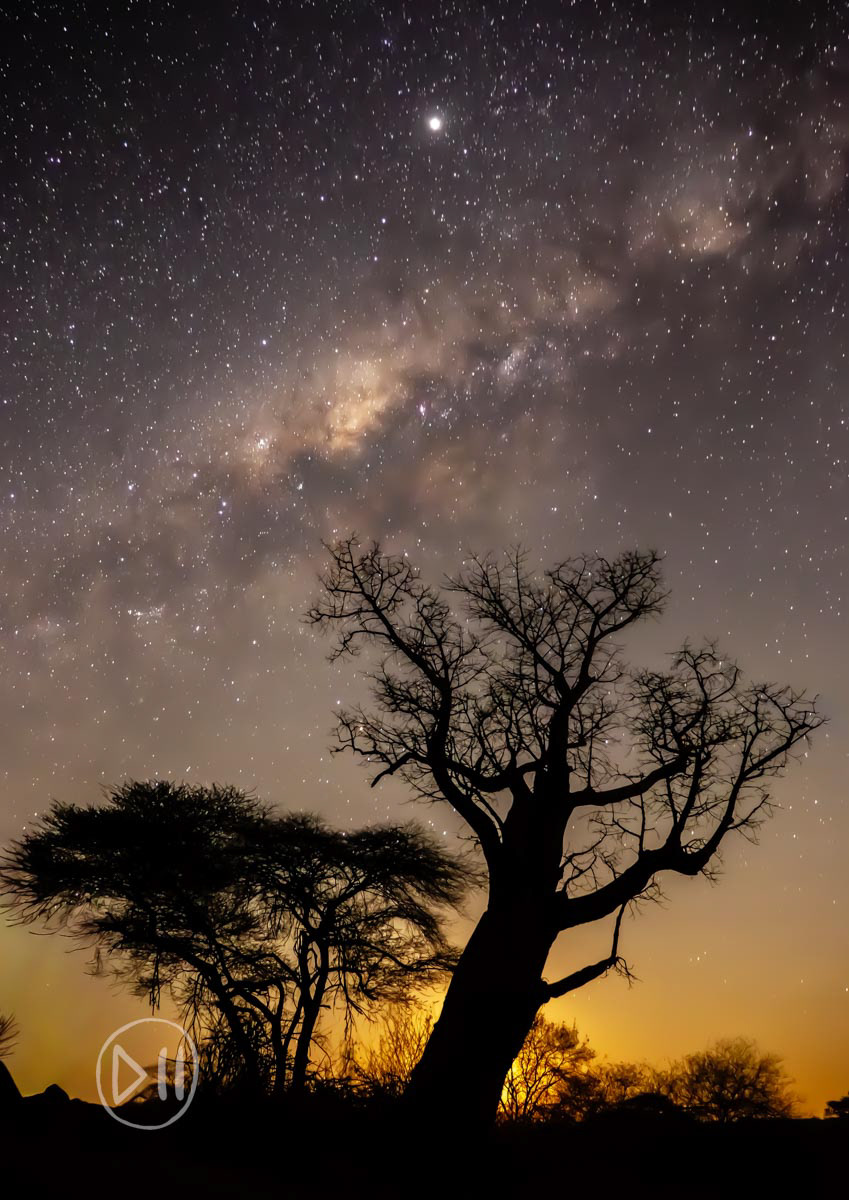 Eternal - Photographed at Matetsi Victoria Falls, this Baobab silhouetted by the setting moon and framed by the Milky way was the “gatekeeper” as you left behind the last sight of camp. Whilst I love long exposure astral photography, standing in the dark choosing to forego any source of light to capture the image, reminds you of just how vulnerable you are at night in the bush. It is a humbling but beautiful and powerful feeling, and the results are often worth it, and the memory as eternal as the stars. 