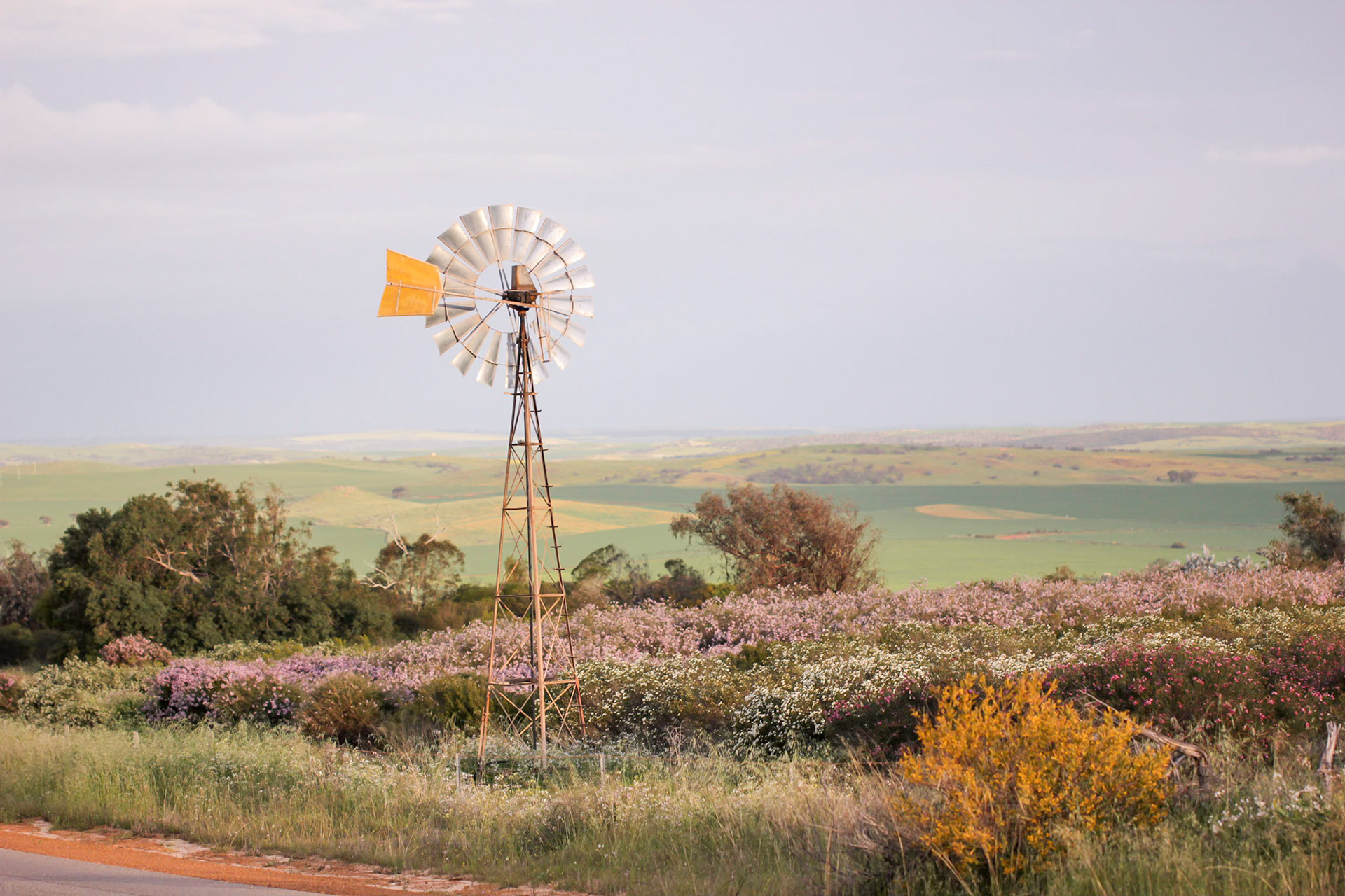 Early agrigulutre would've been near impossible without windmills pump groundwater, WA, Australia.