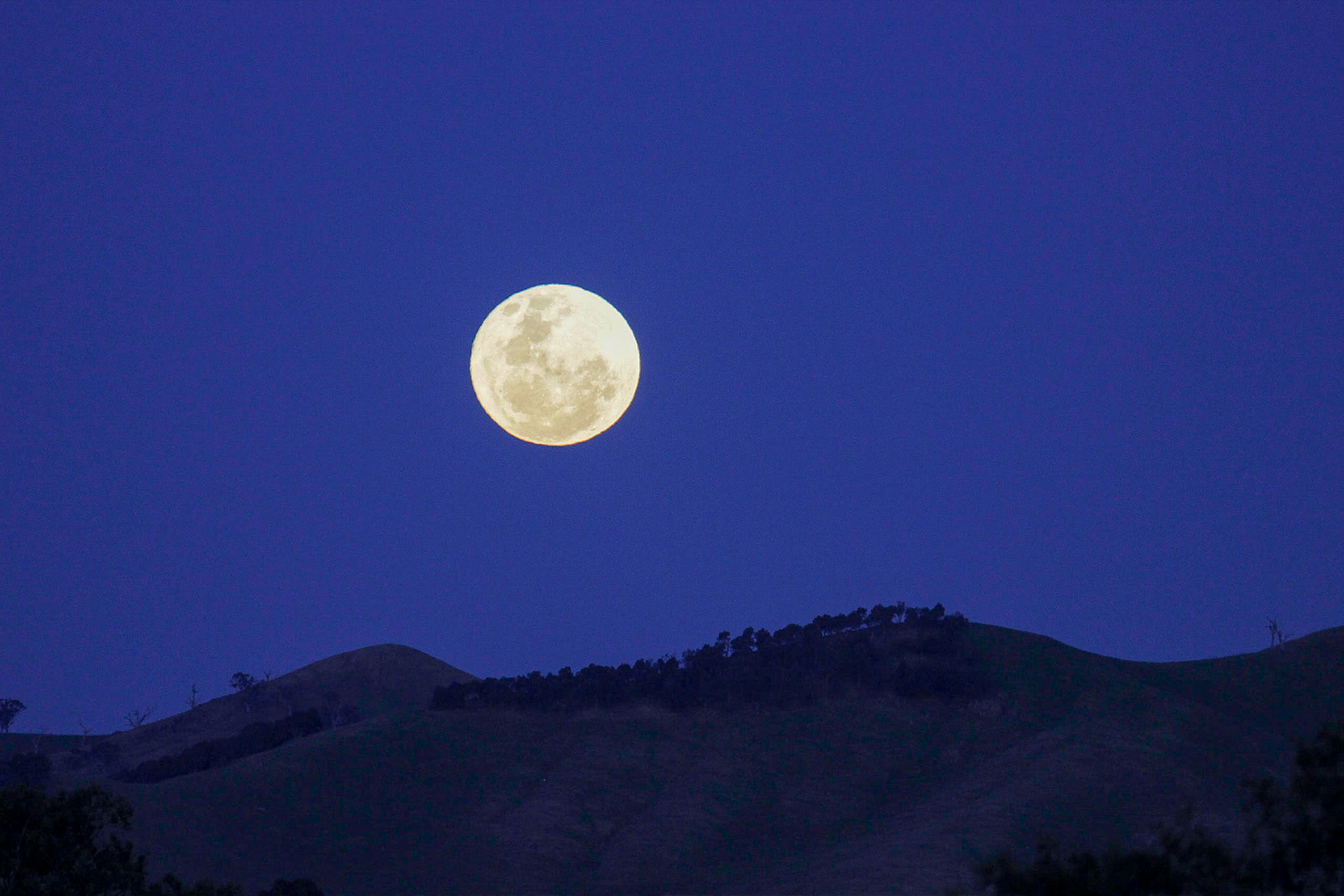 The Moon rises over two mole hills in the countryside, away from light pollution, in VIC, Australia.