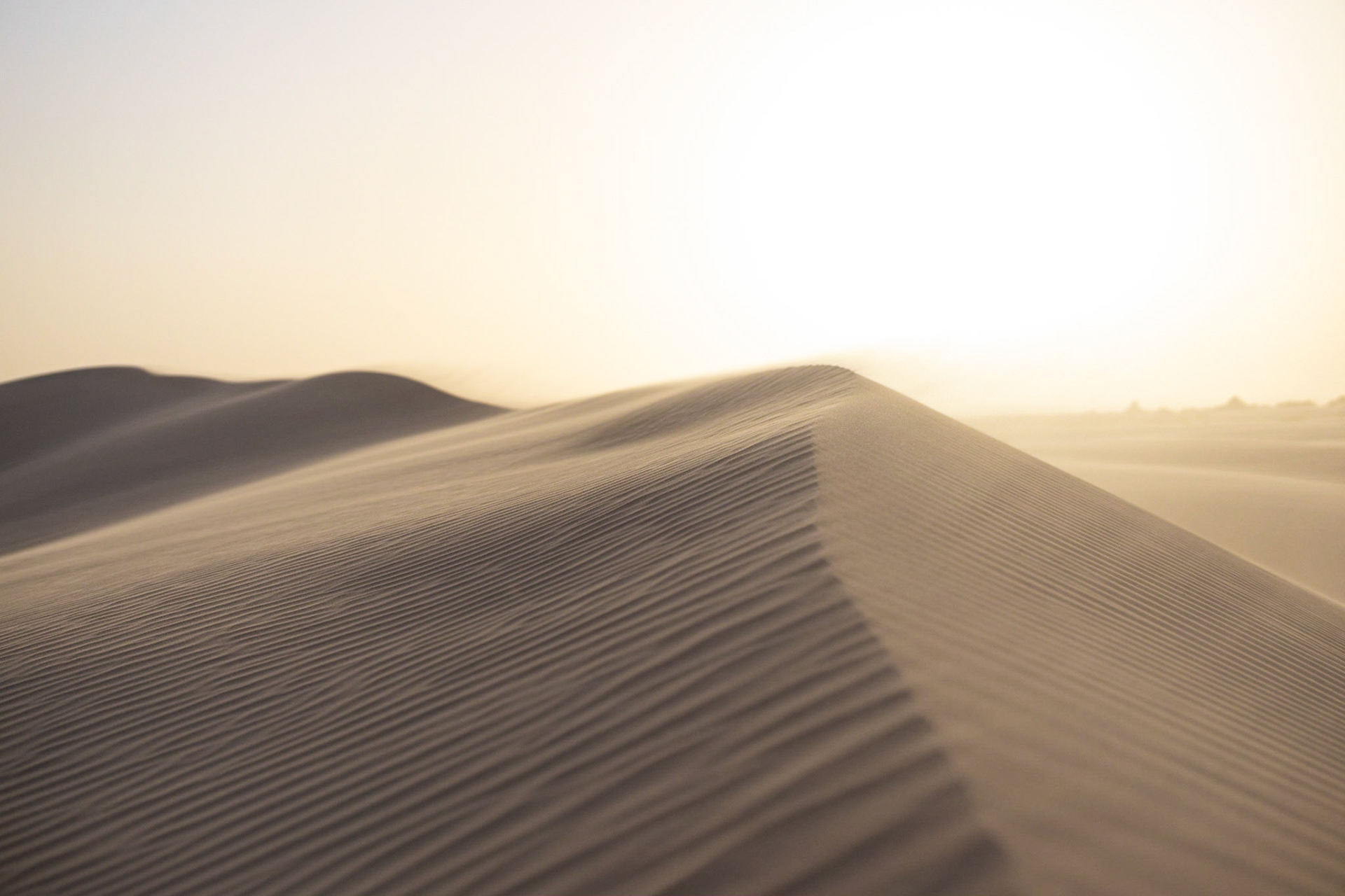 Towering dunes are continuously moved by the wind. These dunes are formed from sand that accumulated from sediments of millennial large lakes, now dry, left as moonscape-like craters in the middle of the Mungo NP, NSW, Australia.