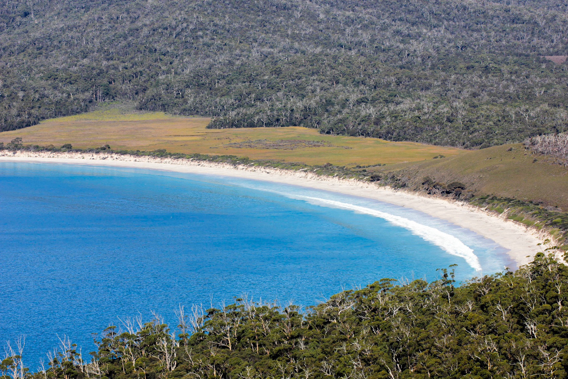 Renown as the top ten best world beaches, only a few swim in these cold and often rough waters of the Wineglass beach, TAS, Australia.