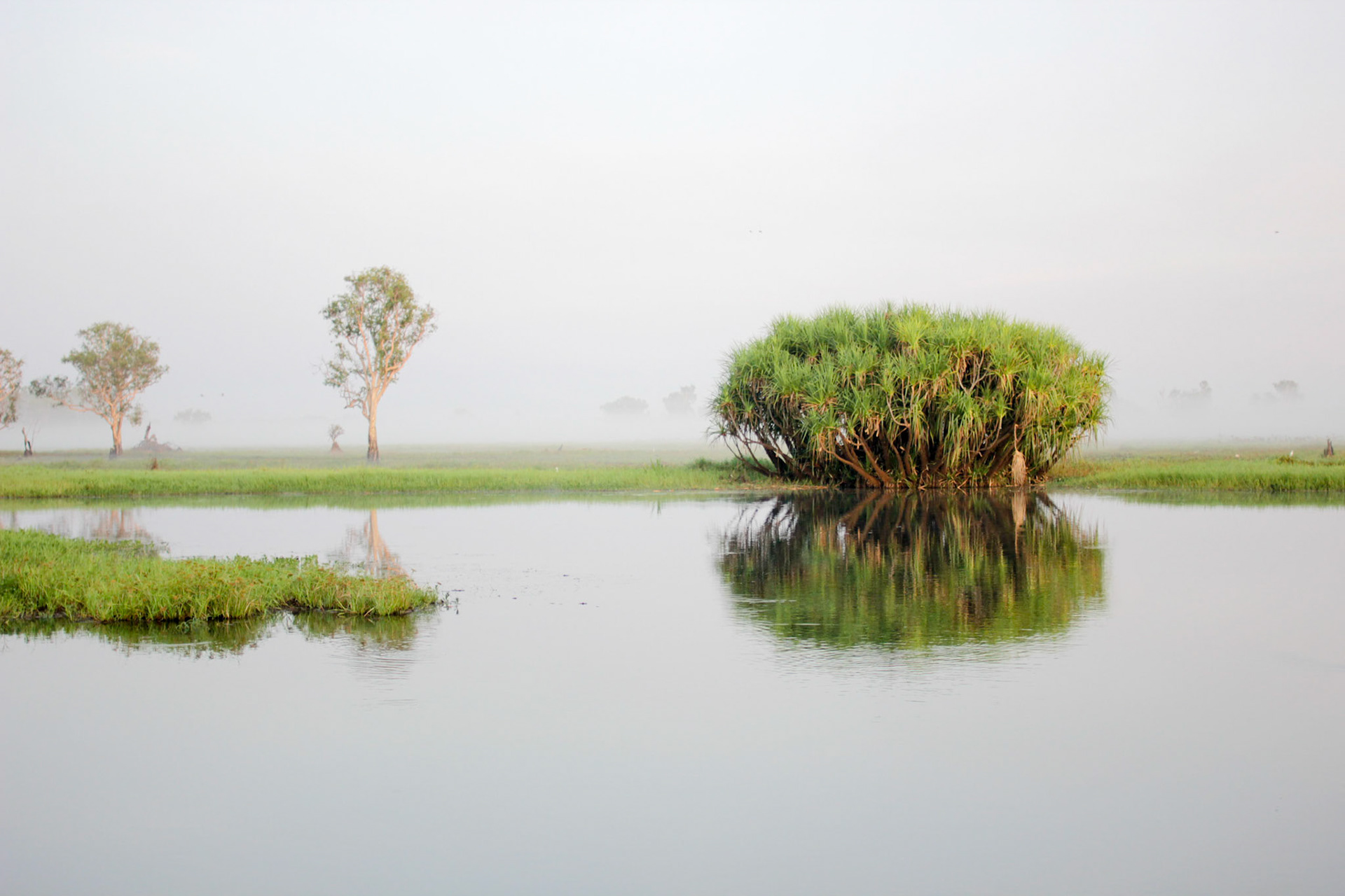 The veiws at Yellow Water Billabong never end, at Kakadu NP, NT, Australia.