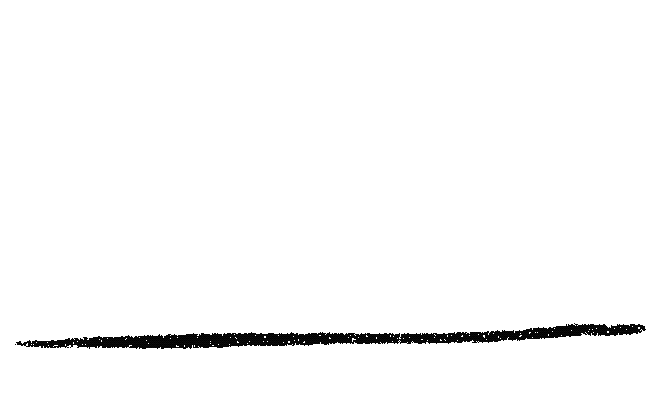 Husky Animation