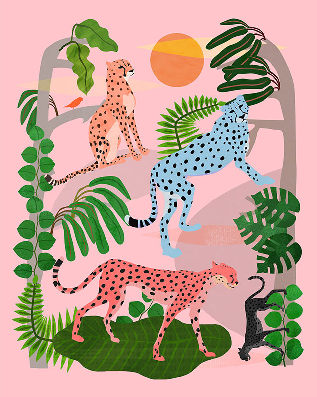 Cheetahs in Pink Kalahari