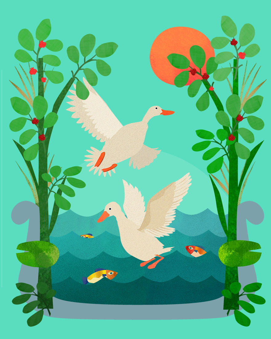 Ducks in Pond