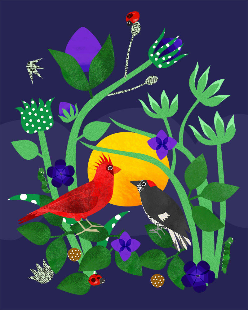 Birds Under the Moonlight