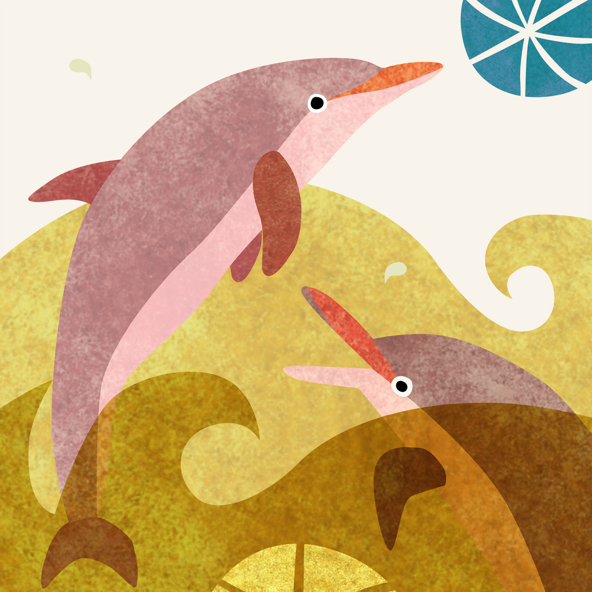 Dolphins Play