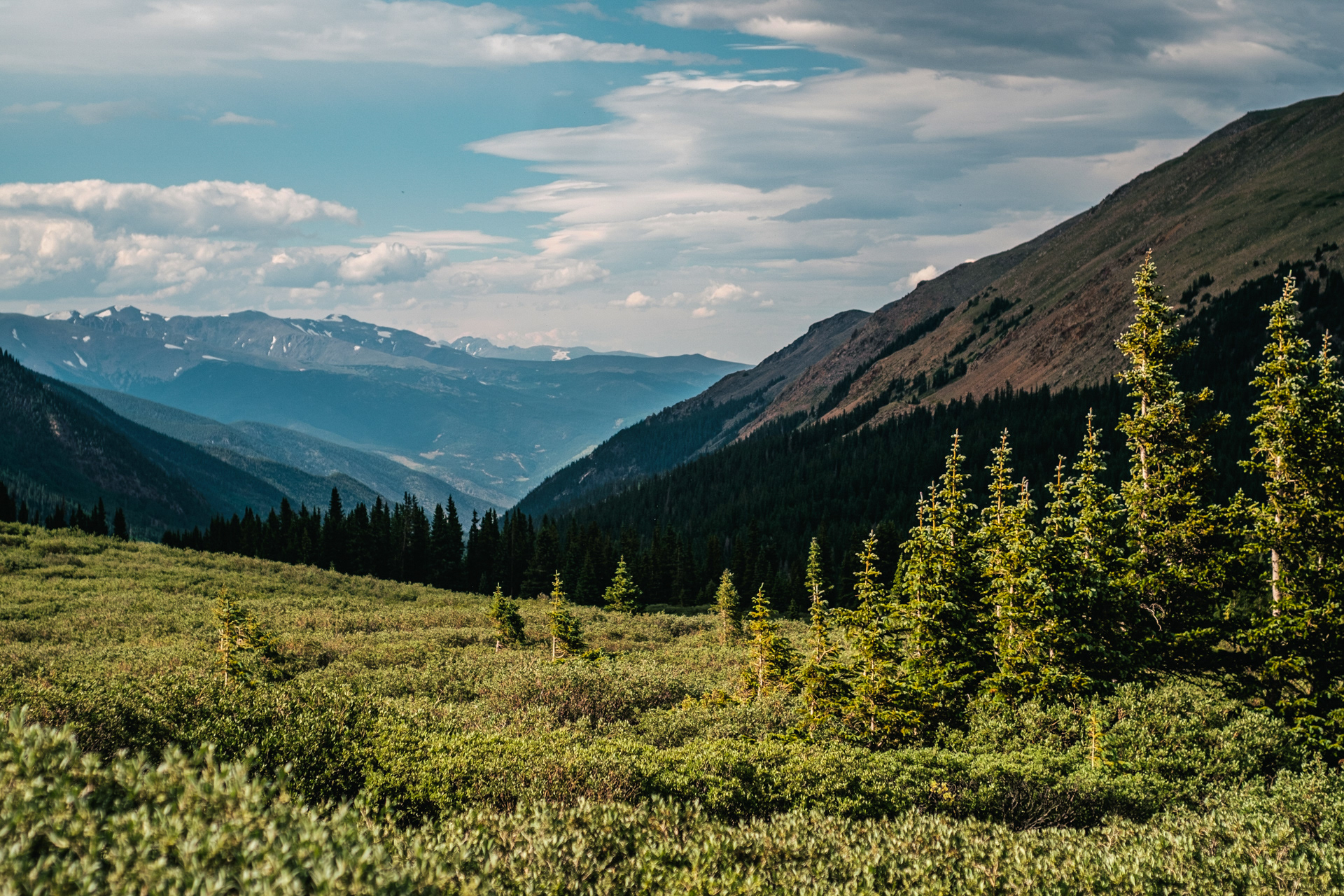 Guanella Pass, CO - Jul, 23.