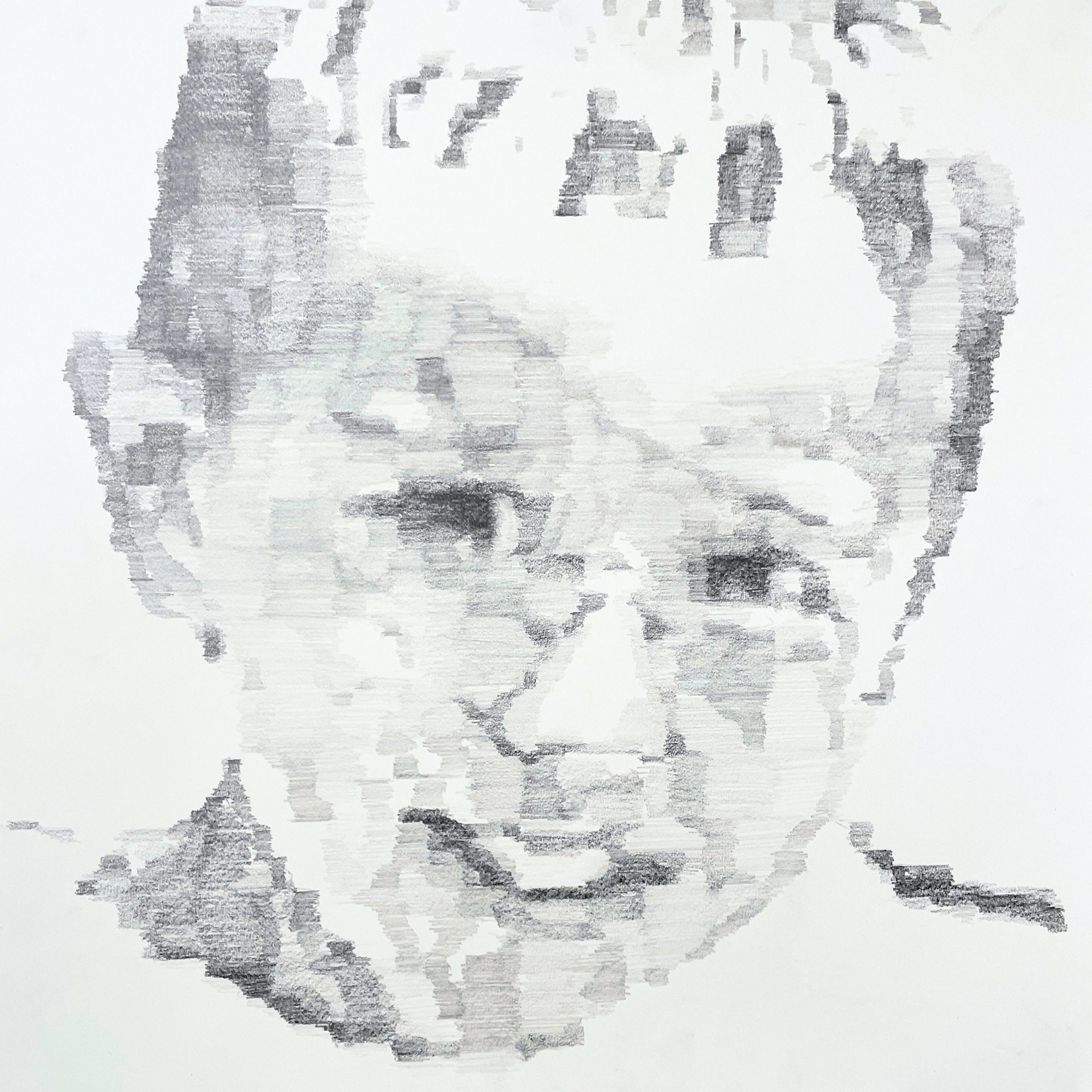 Compression of Self (detail)