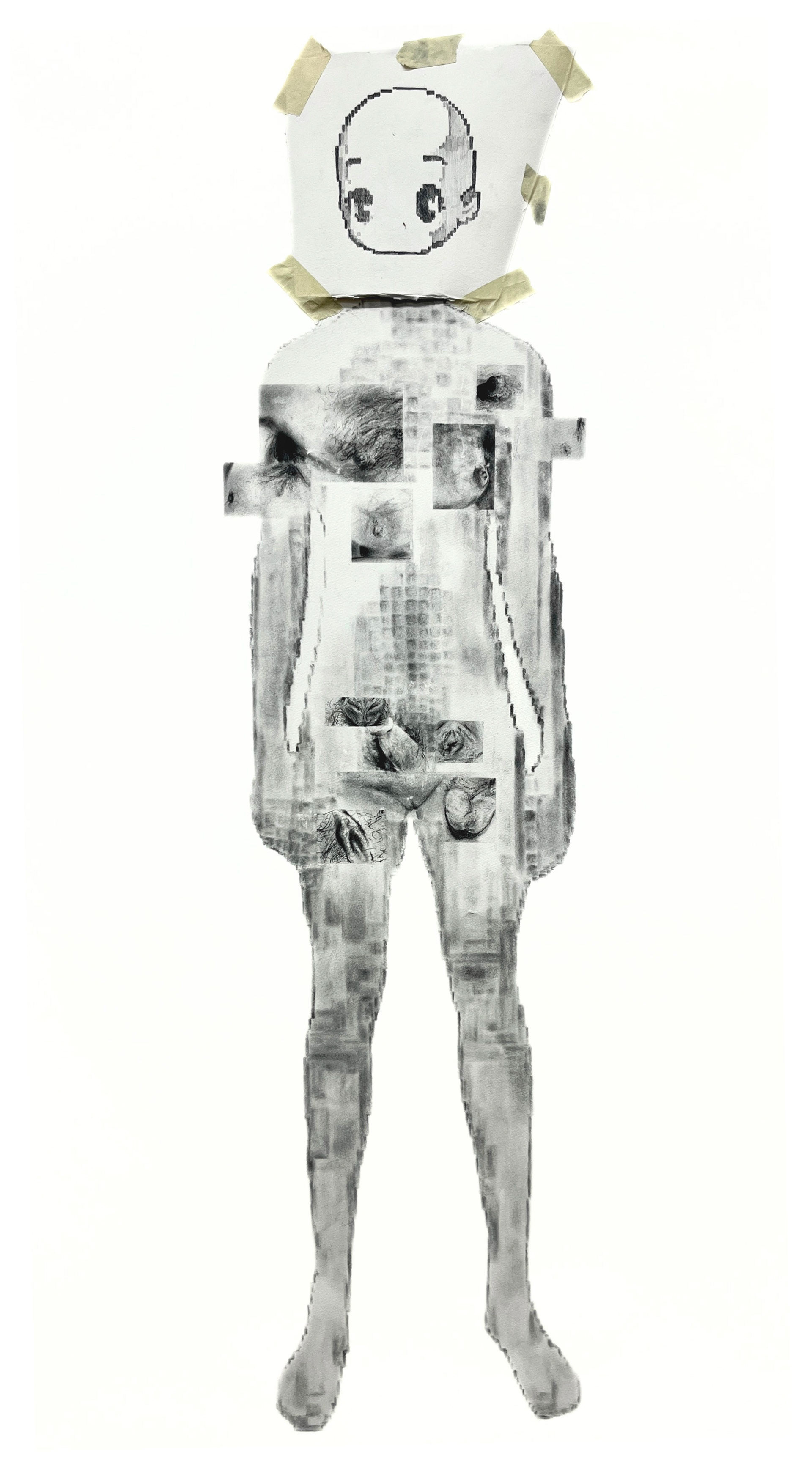 Digital Insuccubus