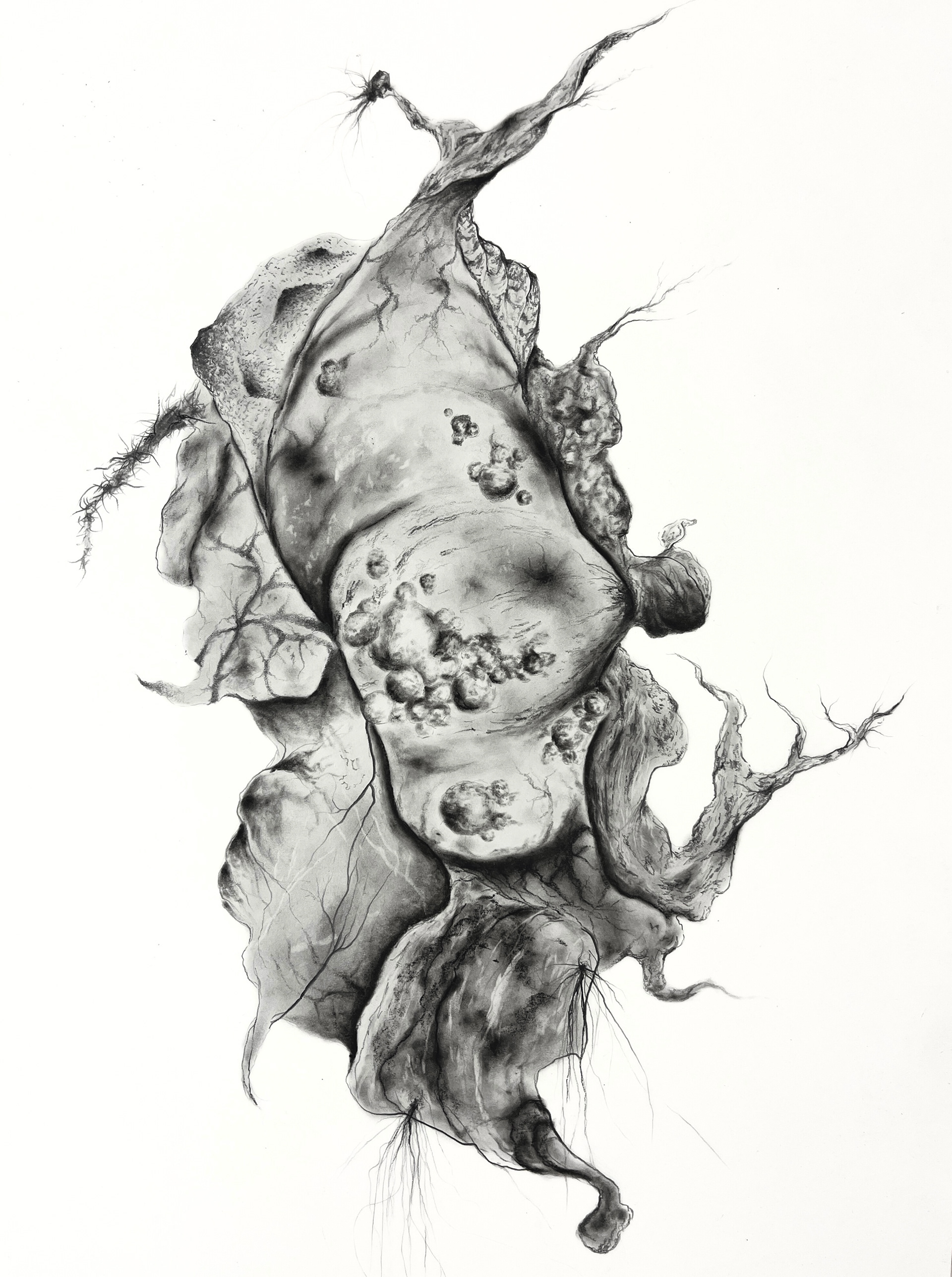Embodiment