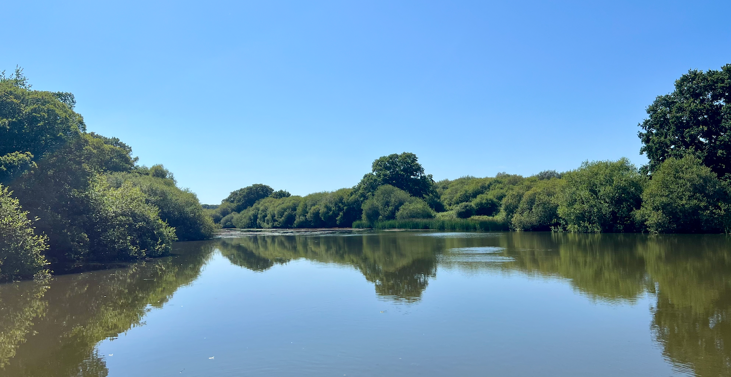 Les étangs de Knepp sont au sommet d’un corridor réensauvagé le long de la rivière Adur qui s’étend jusqu’aux forêts de kelp de la Manche. ©Heidi.news