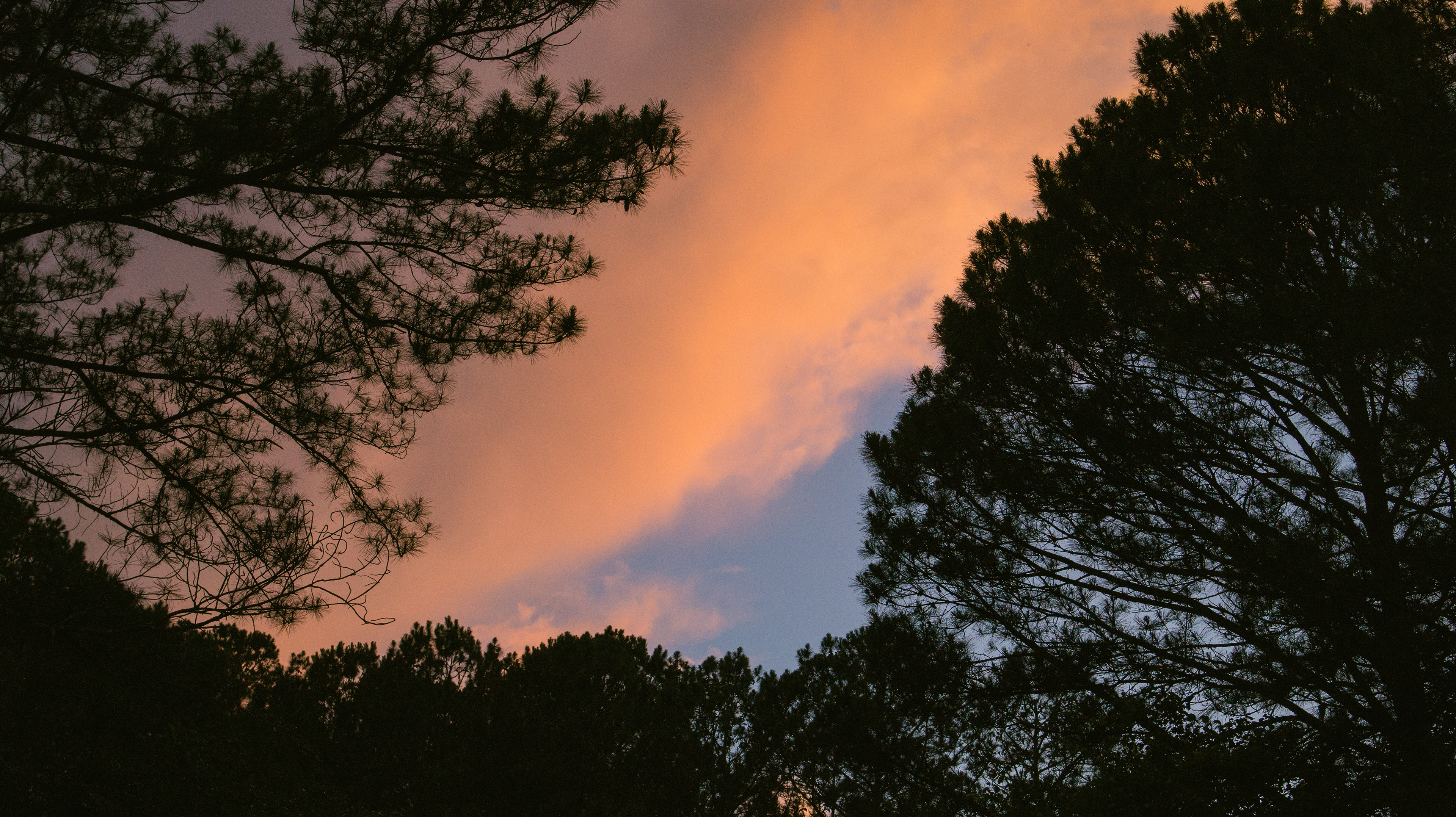 Summertime East of Peachtree