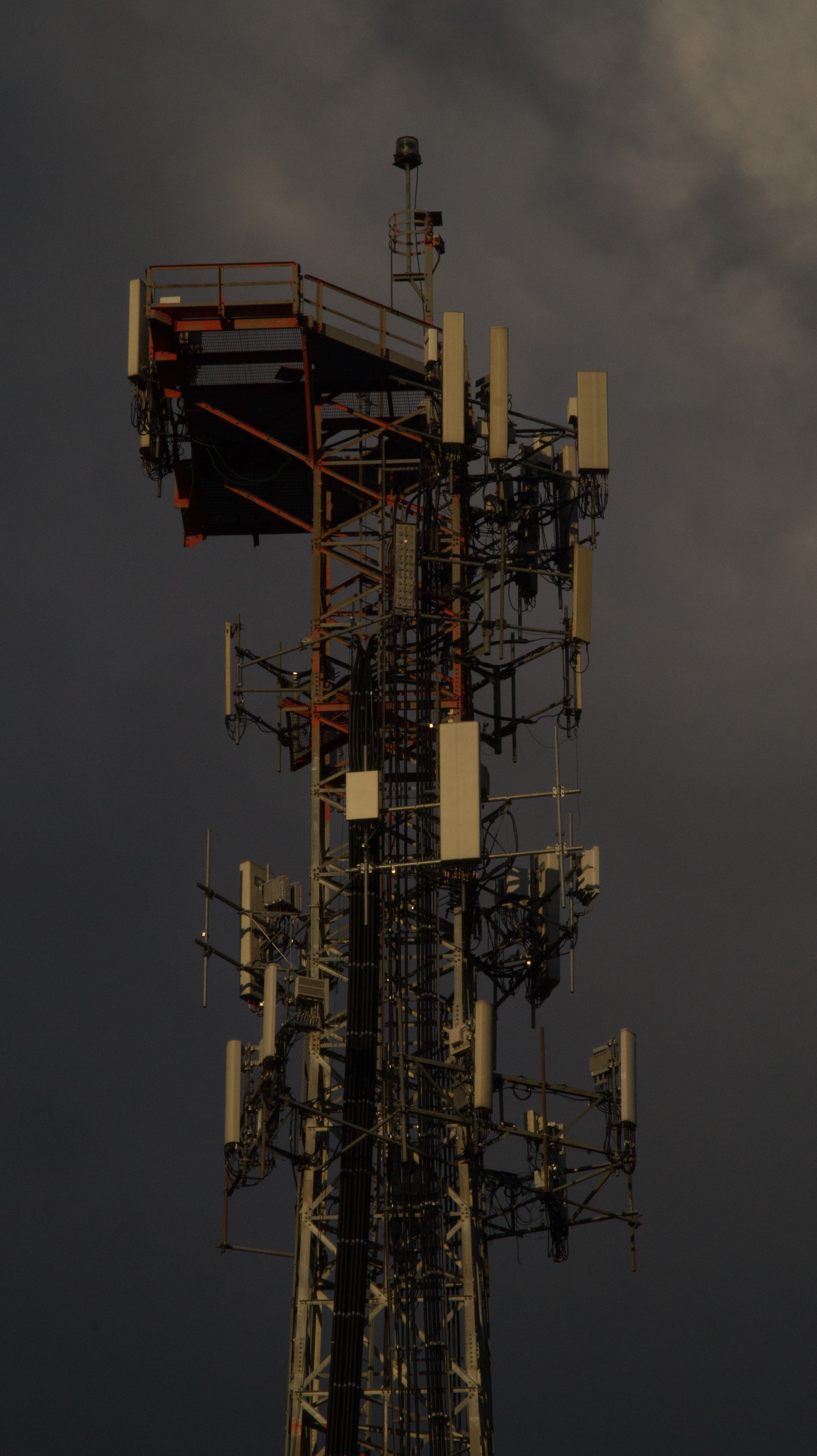 Wizzards Tower