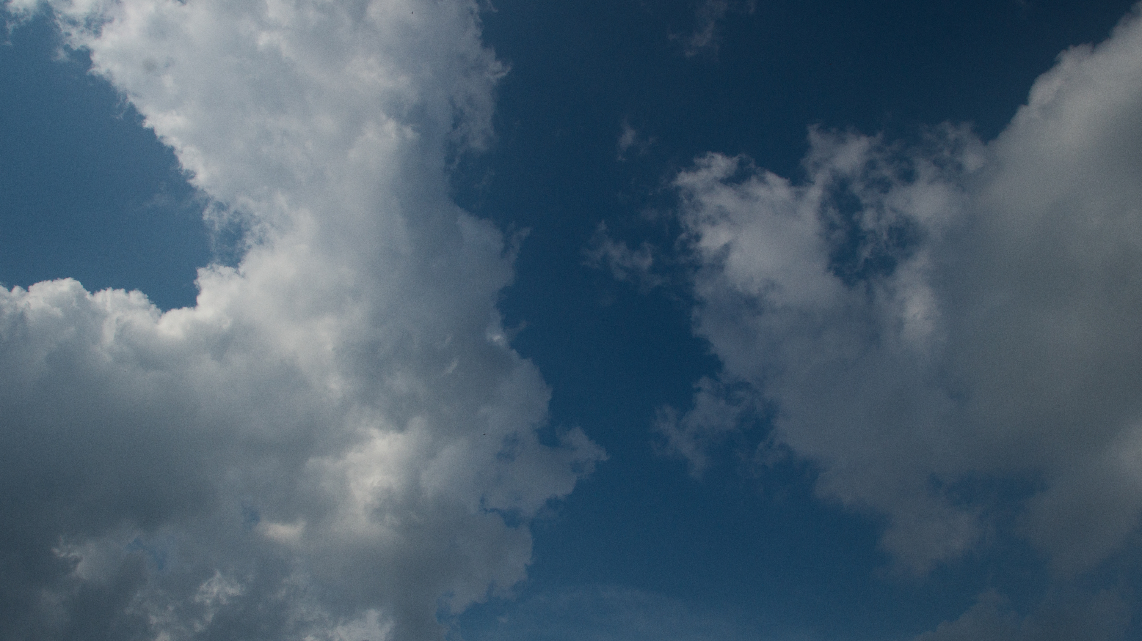 Birding at Spageti Junction