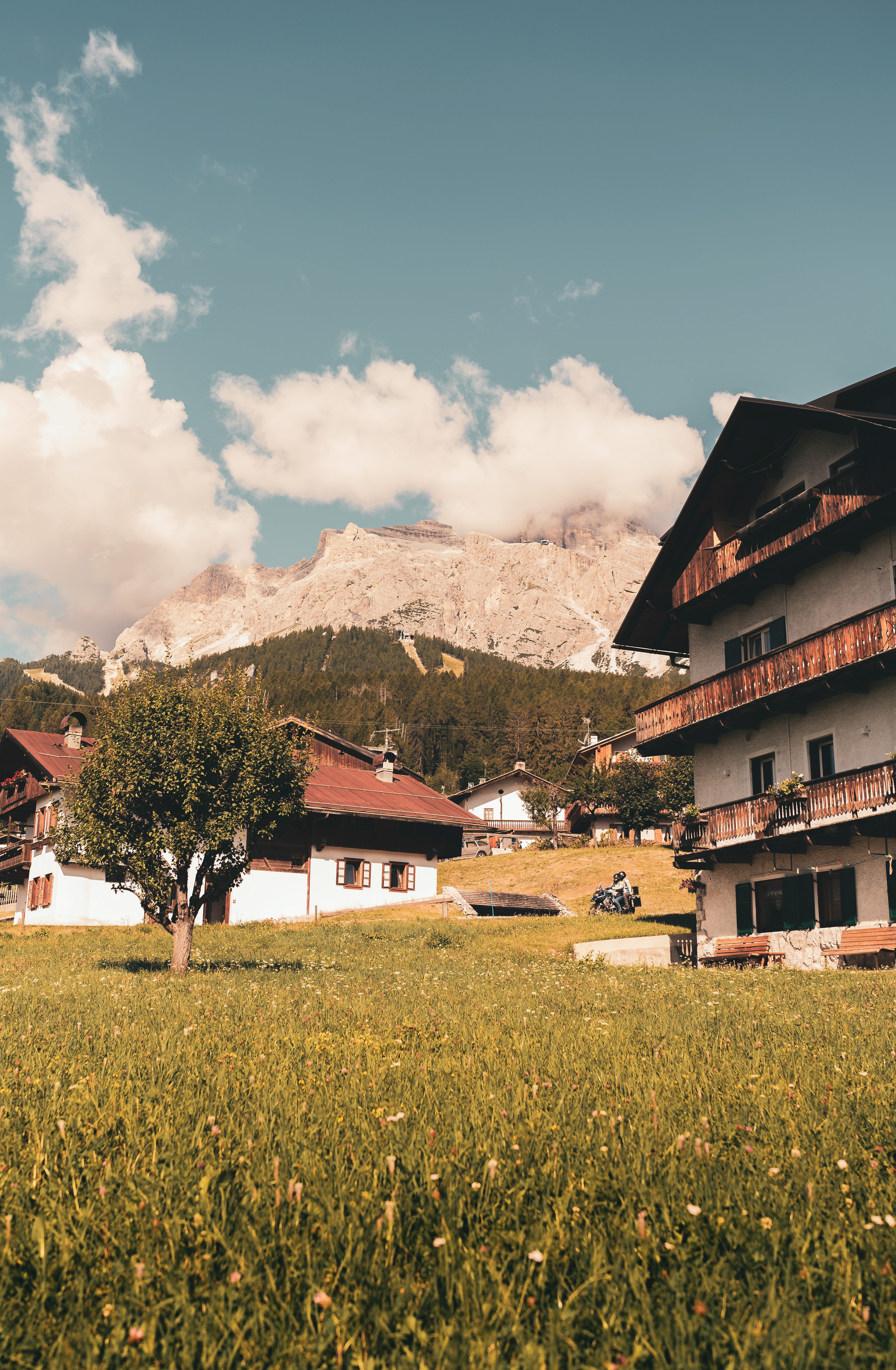 Morning in the Mountains