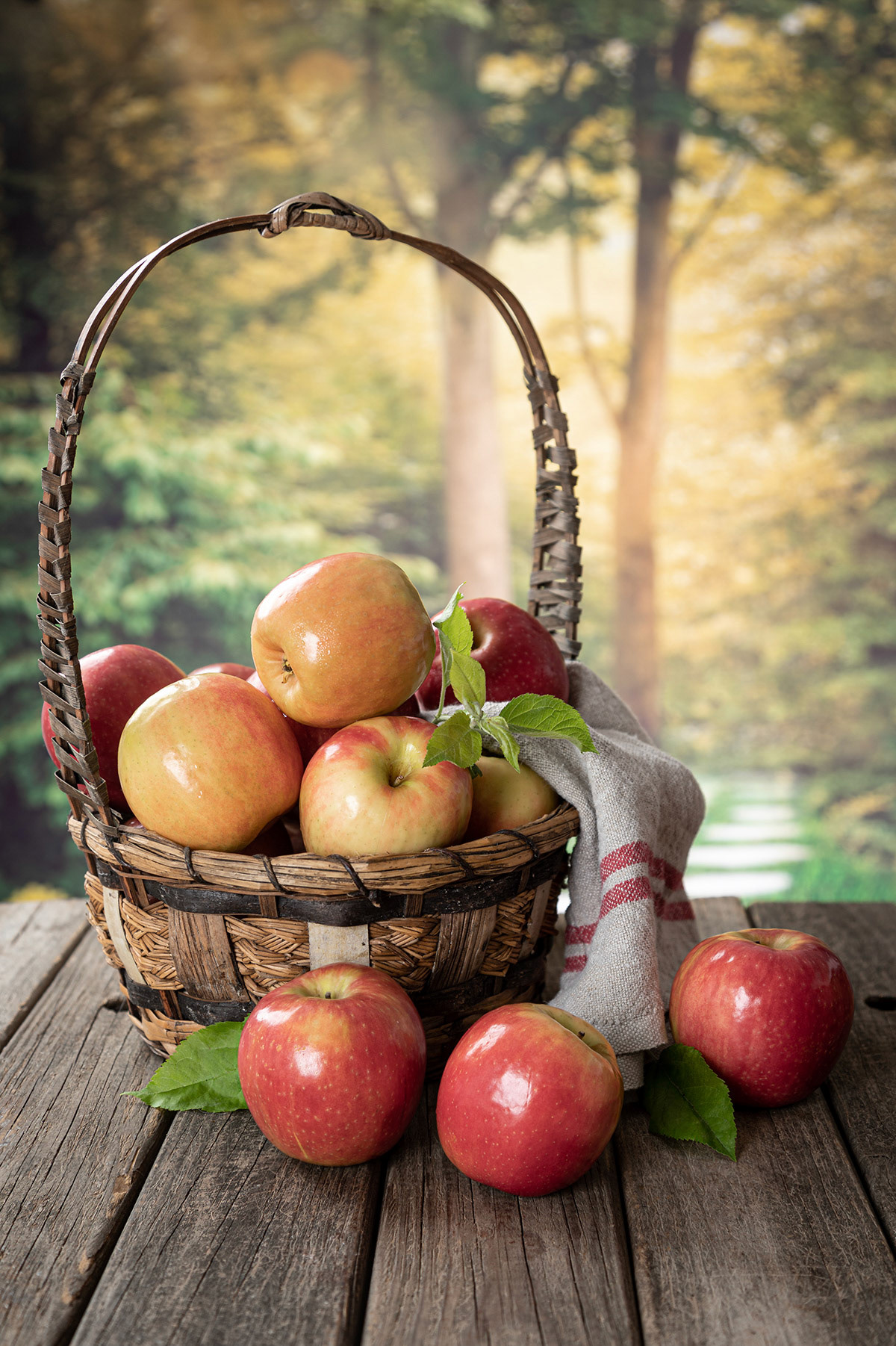 Basket of red apples with rural background
