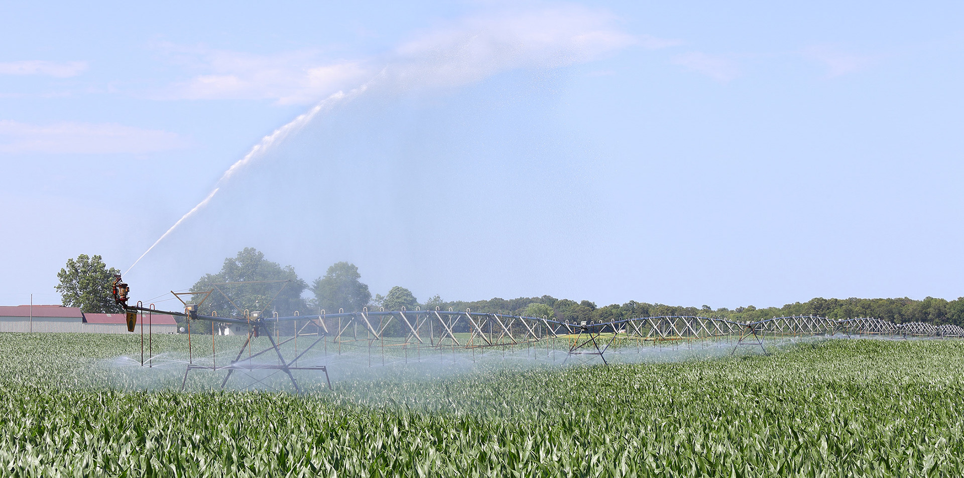 Irrigation system watering a field of corn