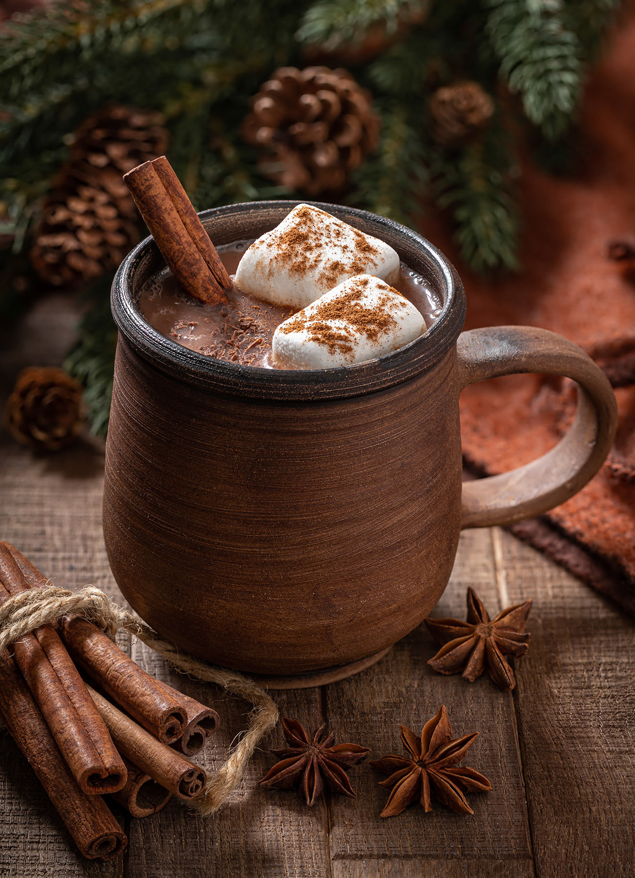 Hot chocolate with marshmallows and cinnamon
