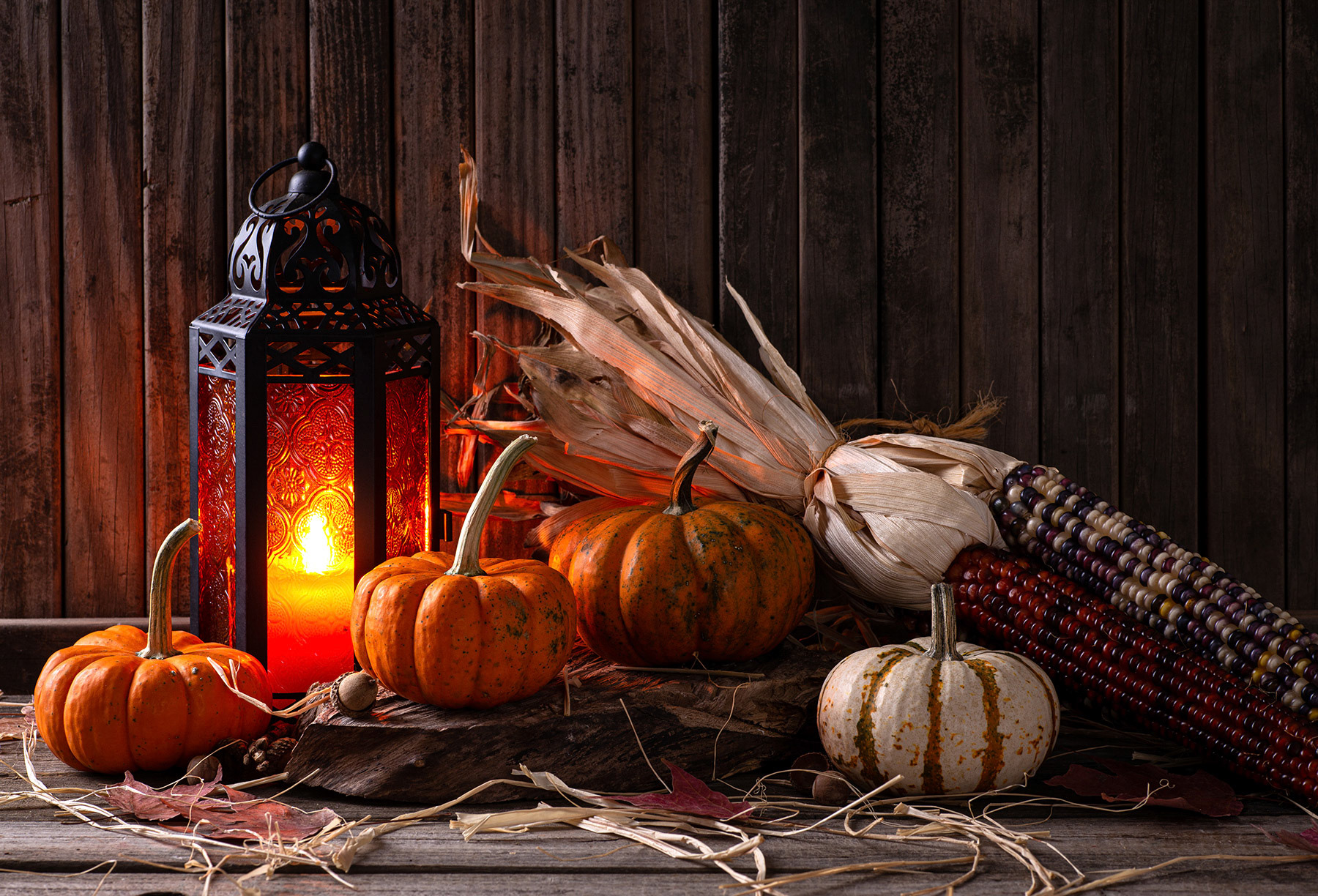 Aurtumn pumpkins and corm with lantern