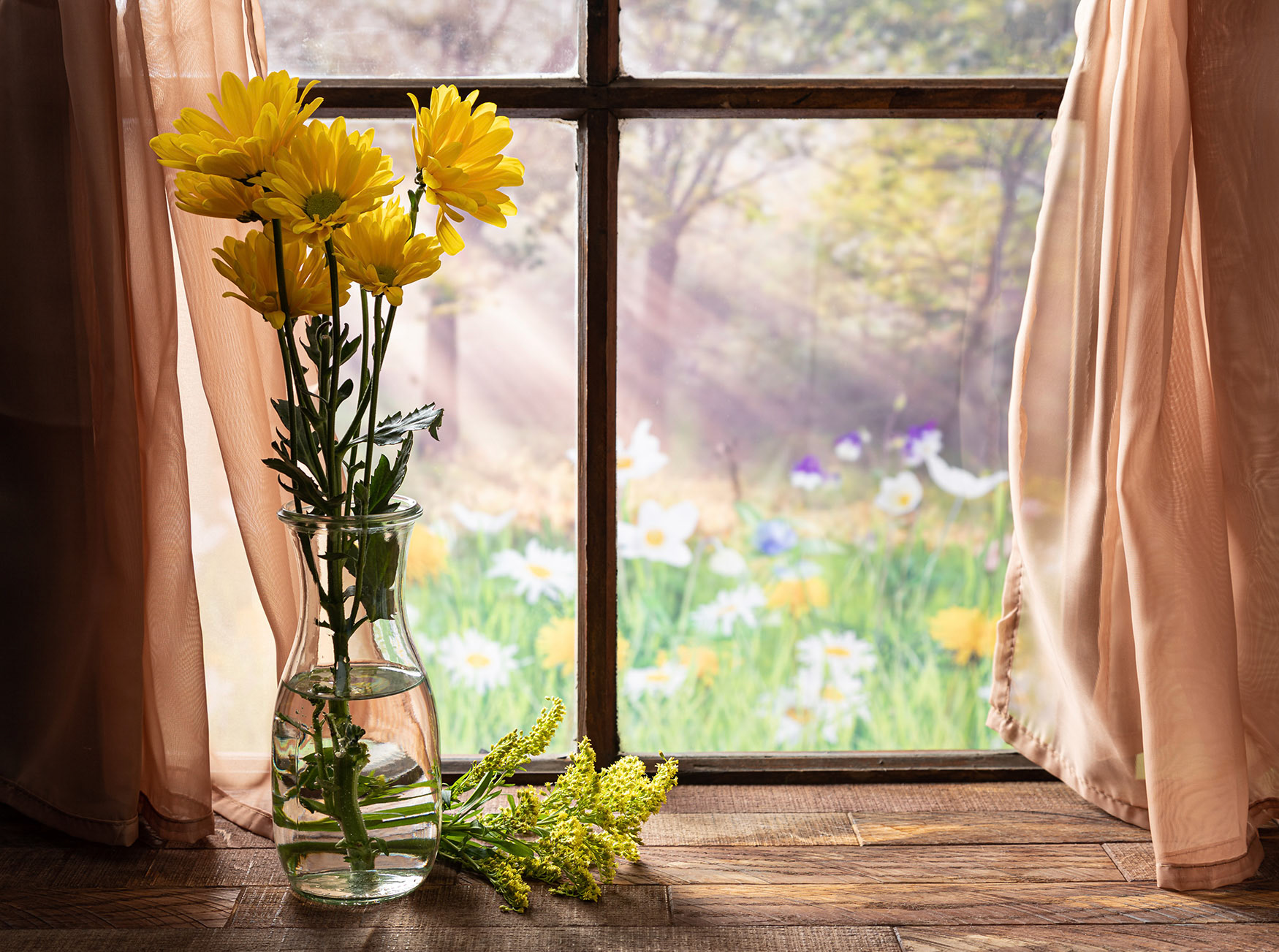 Yellow daisies by a window summertime background