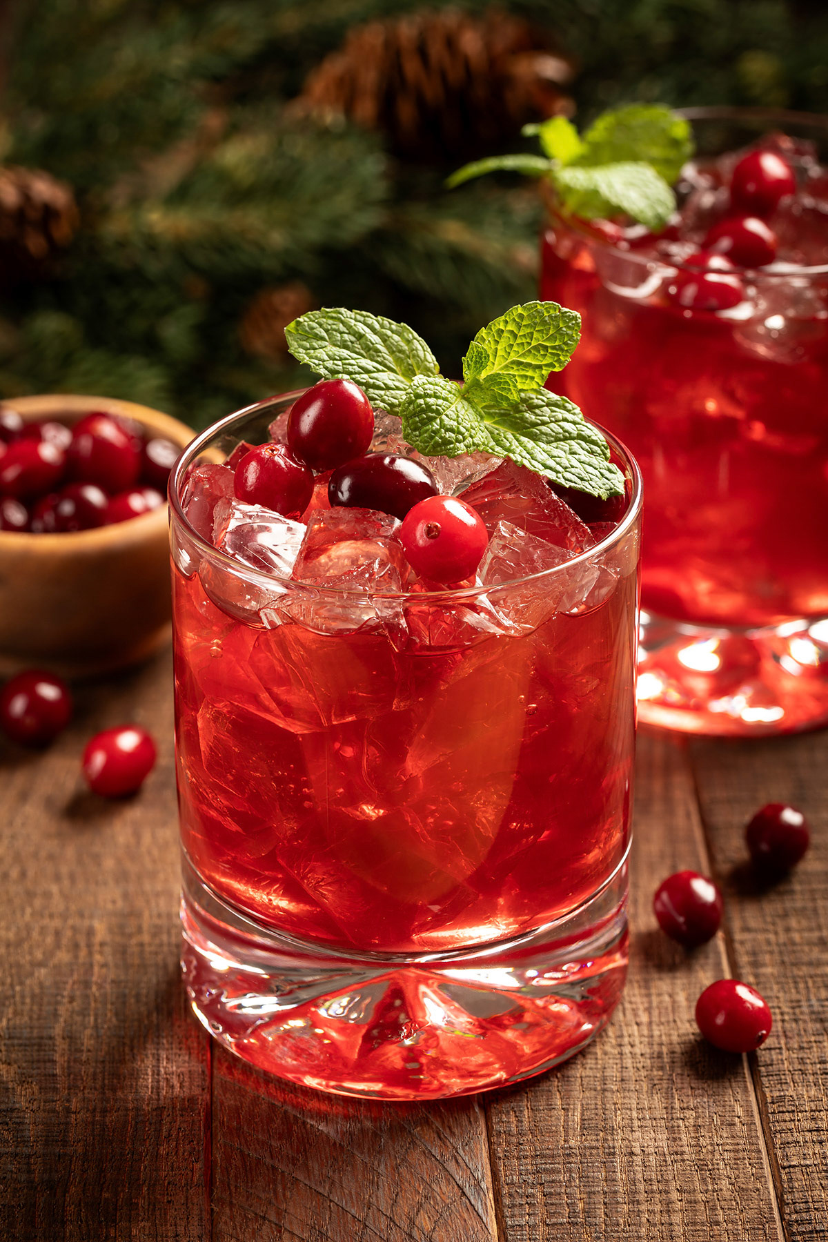 Cranberry cocktail with cranberries and mint