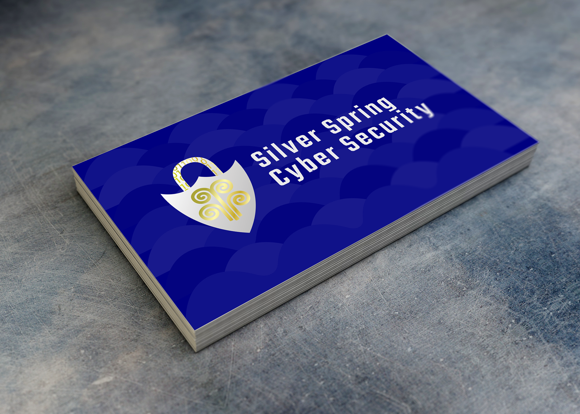 Silver Spring Cyber Security Logo
