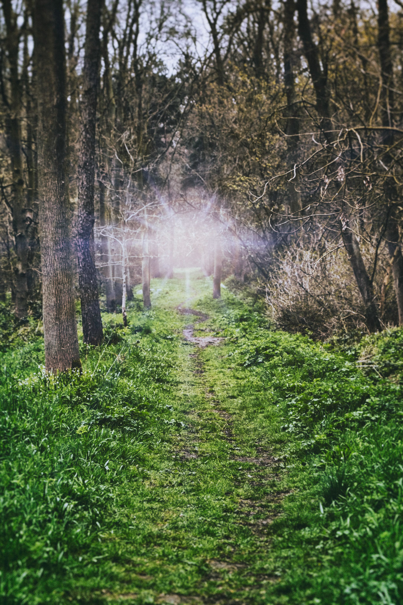 Paul Bucknall Random Observations 240320 Millennium