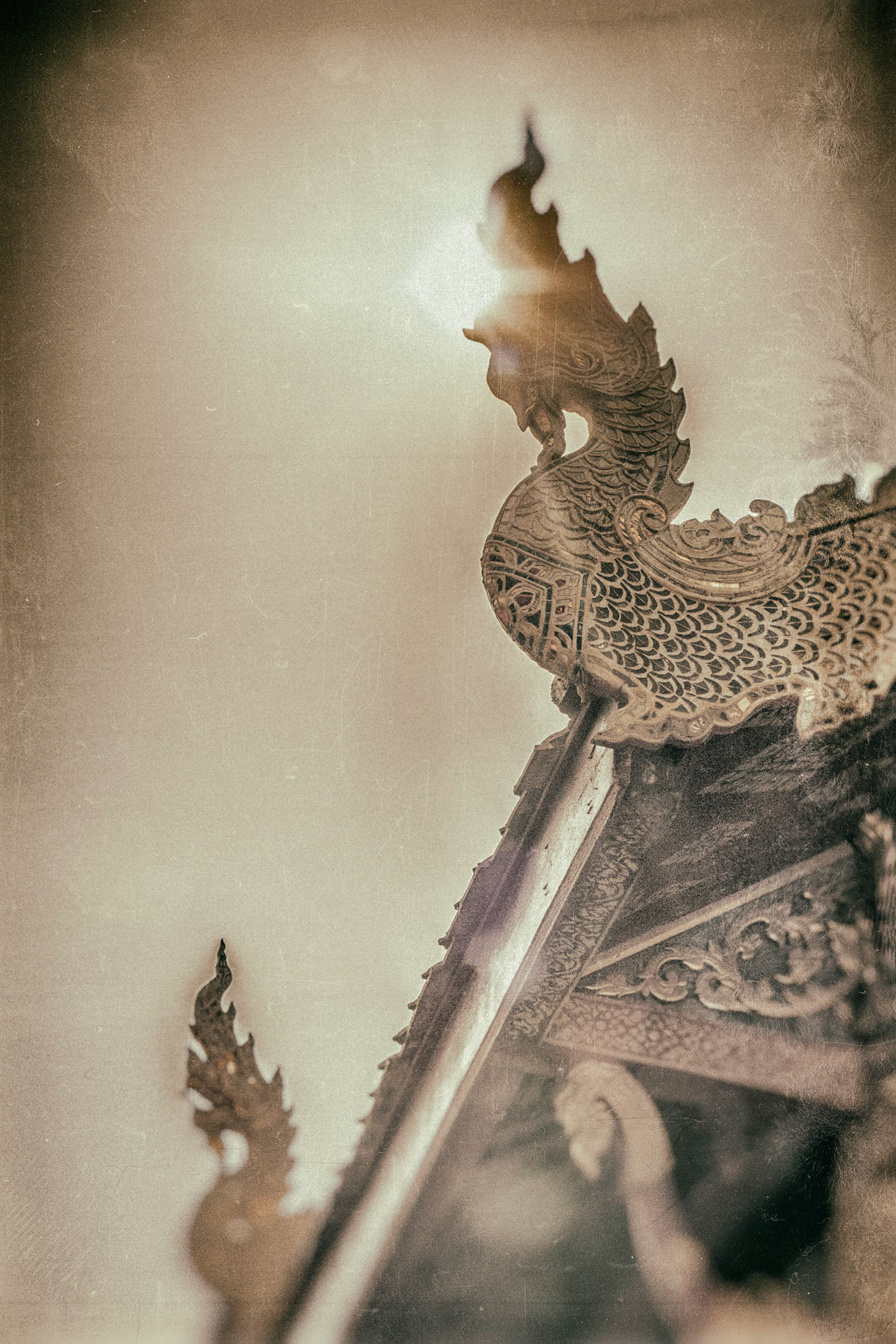 Backlit Golden Dragons Chiang Mai Thailand