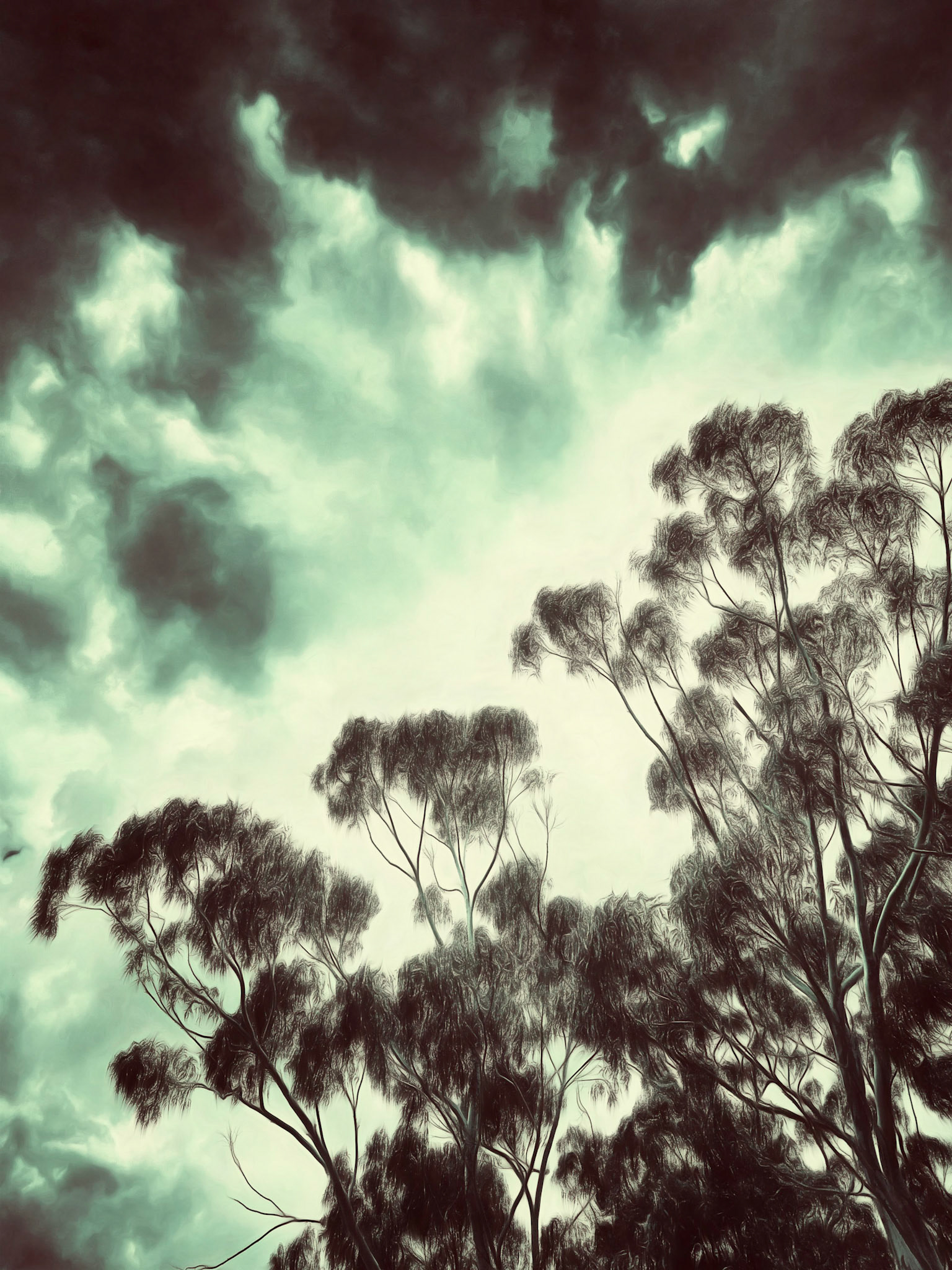 Smart Collection Stockimo