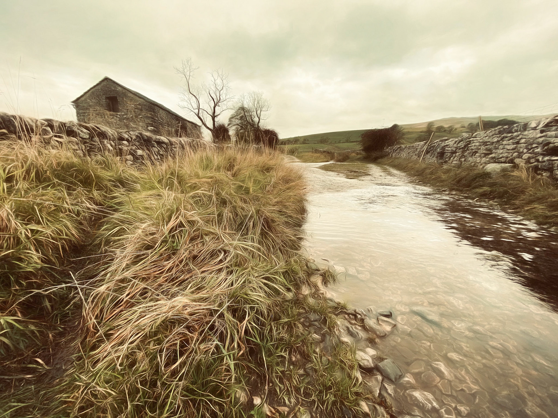 Flooded Country Lane